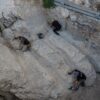 City of David