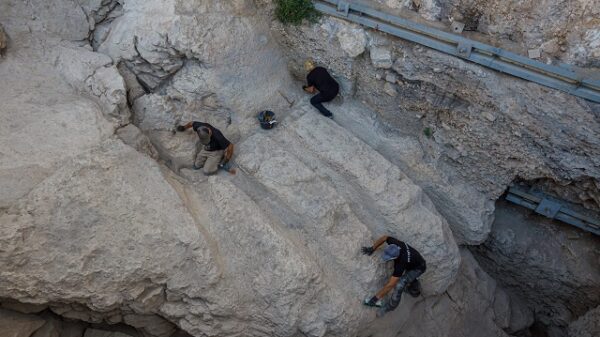 City of David
