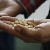 global hunger