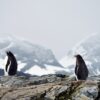 Antarctica