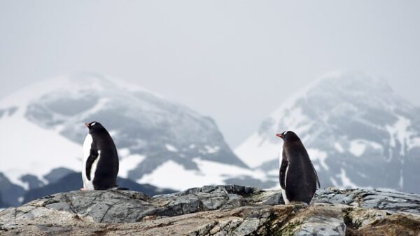 Antarctica