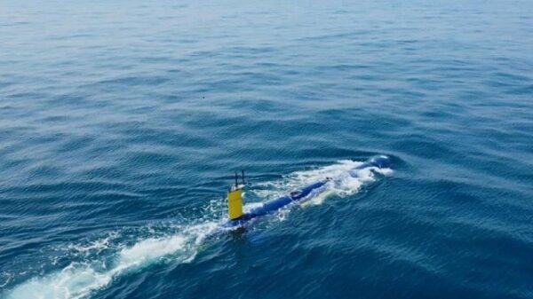 BlueWhale