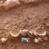 Frumin et al Miniature Vessels