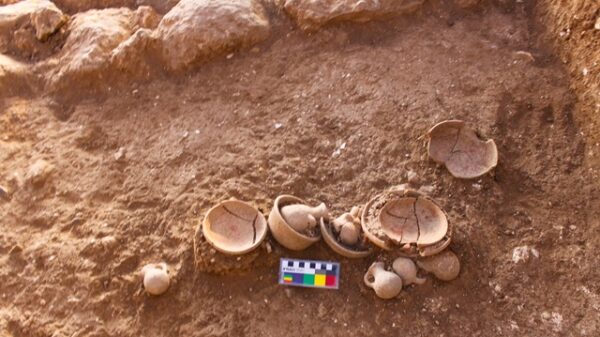 Frumin et al Miniature Vessels