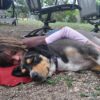 Napping