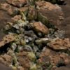 NASA's Curiosity Rover