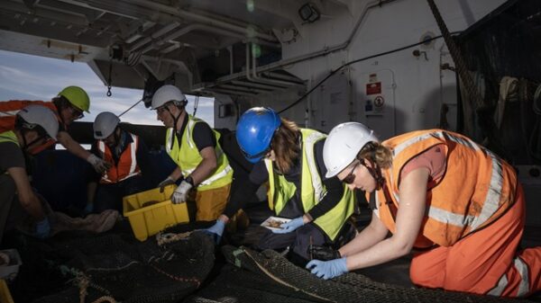 Ocean Census and NIWA scientists