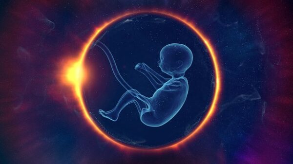Scientists create lifelike human embryo models in lab embryo Renewal Bio