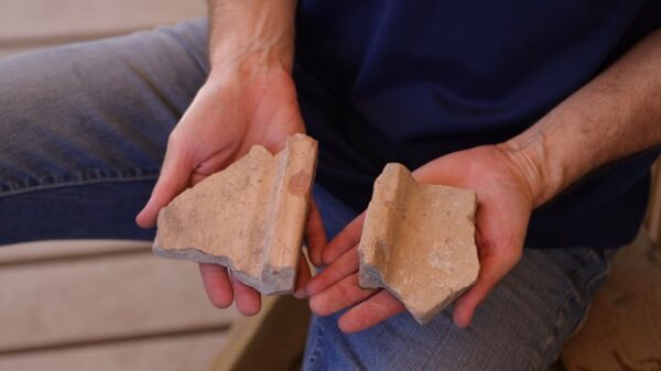 Rooftile fragments