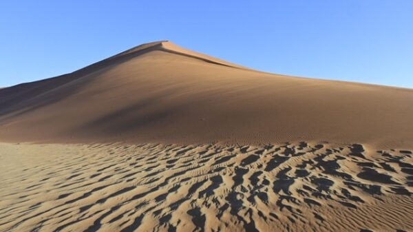 sand ripples namib desert