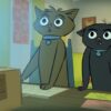 Stoner Cats