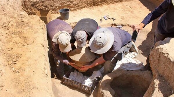 archeology