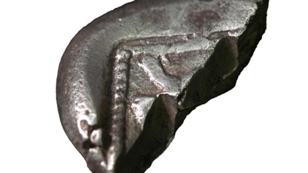 The rare coin