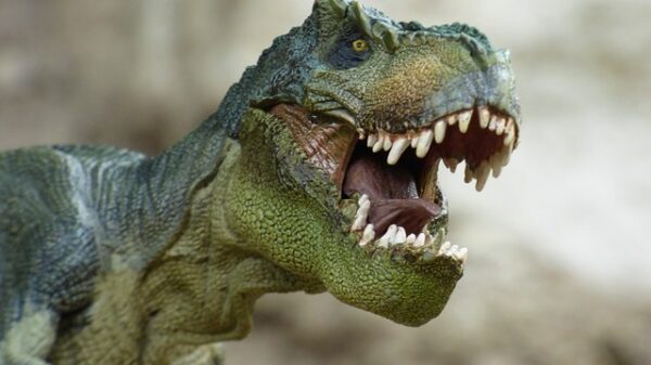 dinosaur